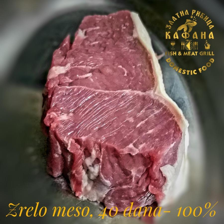 골루바츠 Zlatna Ribica 아파트 외부 사진
